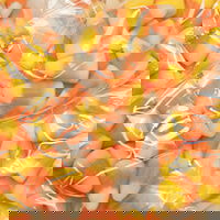 Candy Corn 1oz. (Individually Wrapped) - 10075186057350