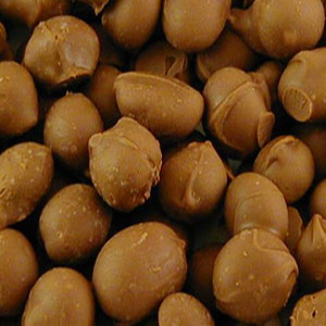 Double Dipped Peanuts-11